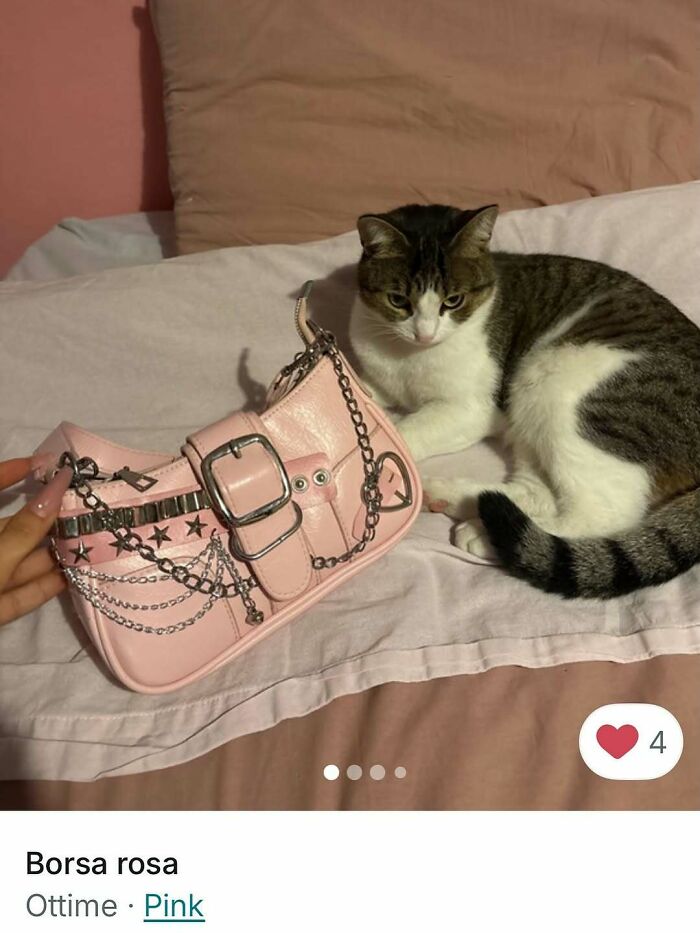Cat lying next to a pink handbag with chains on a bed, showcasing cats stealing the spotlight in Vinted ads.