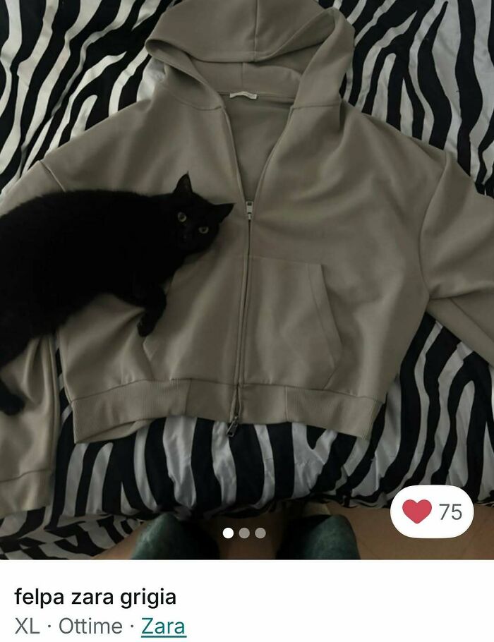 Black cat lying on a grey hoodie on zebra-patterned bedding, showcasing cats stealing the spotlight in Vinted ads.