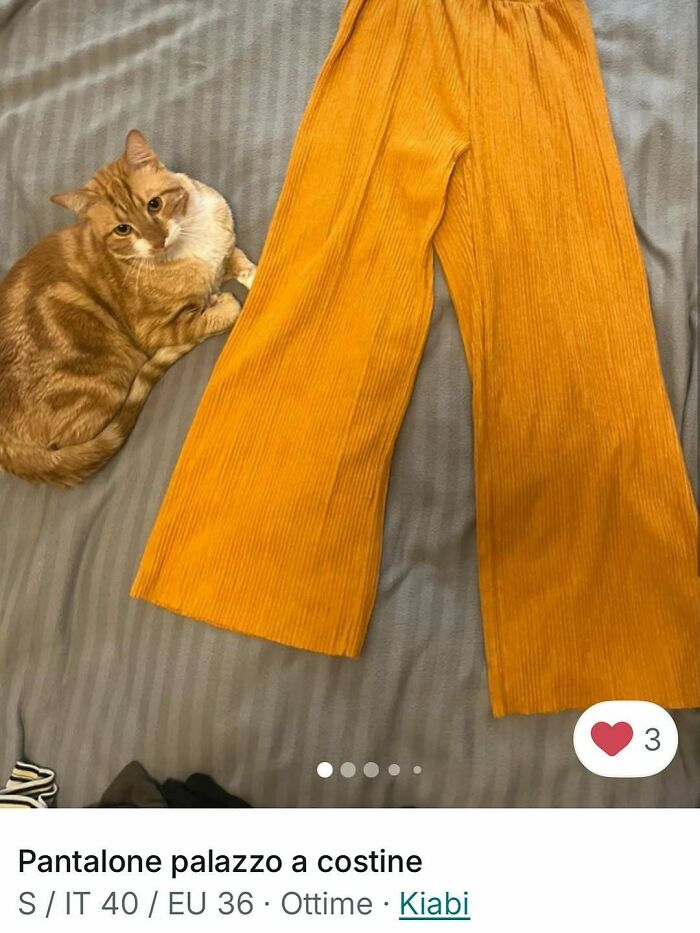 Ginger cat lying next to mustard yellow palazzo pants in a Vinted ad where cats stole the spotlight.