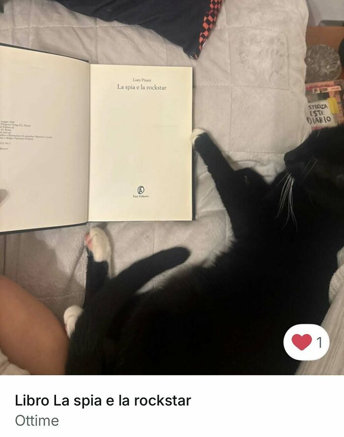 Black and white cat lying beside an open book, showcasing one of the 100 times cats stole the spotlight in Vinted ads.