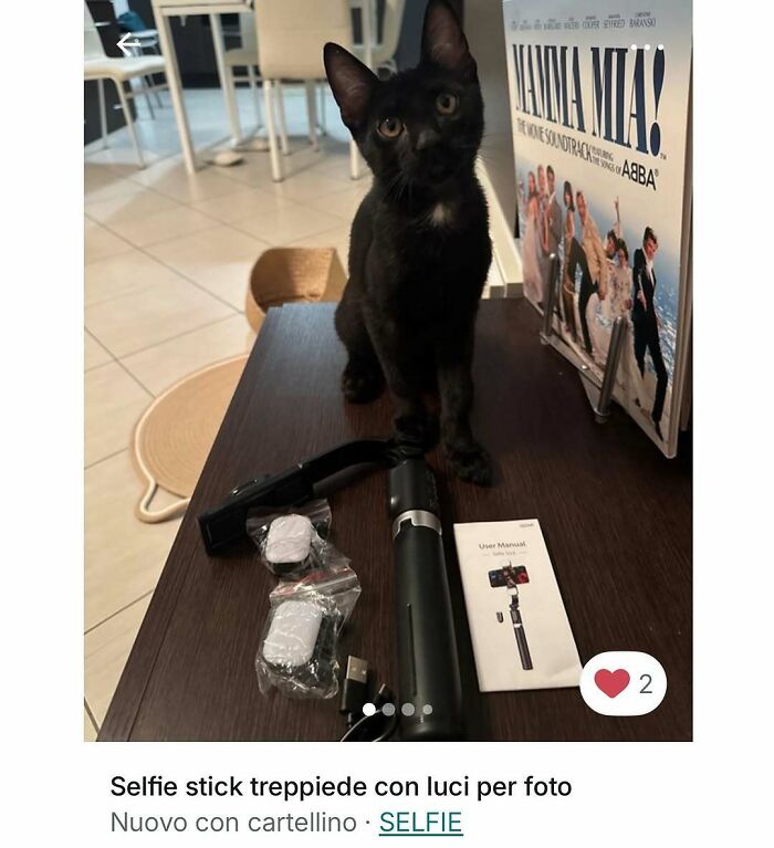 Black cat sitting on a table with selfie stick and accessories, showcasing cats stealing the spotlight in Vinted ads.