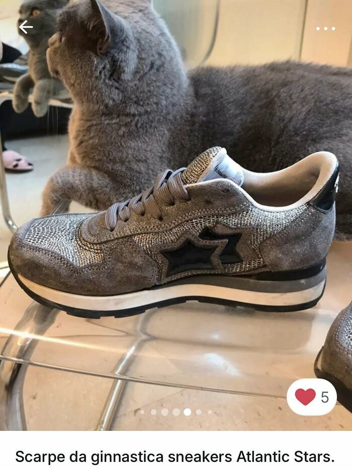 Grey cat resting behind a grey Atlantic Stars sneaker, showcasing cats stealing the spotlight in Vinted ads.