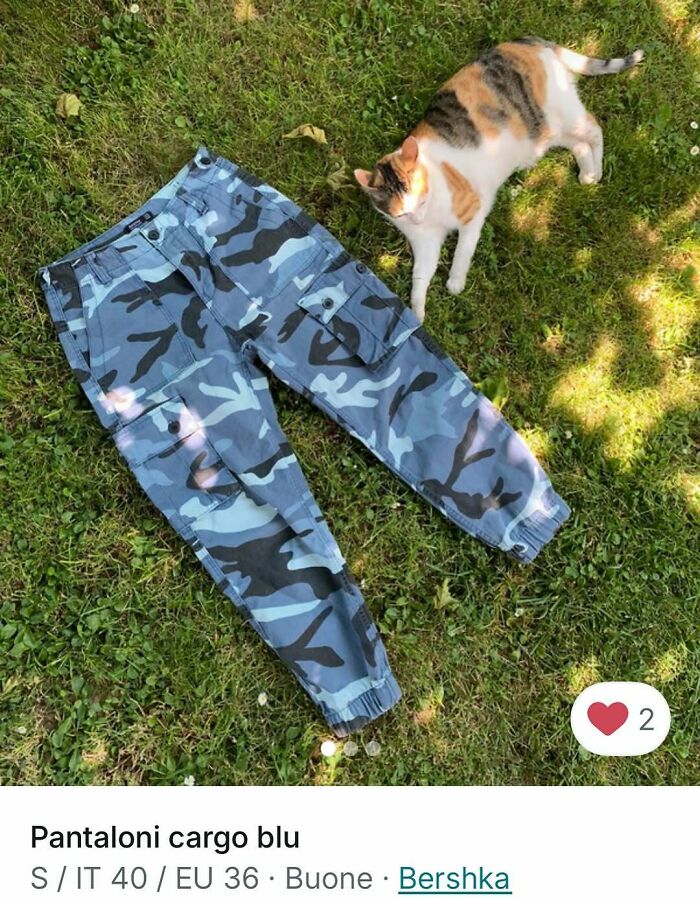 Cat lying on grass next to blue camo cargo pants, showcasing cats stealing the spotlight in Vinted ads.