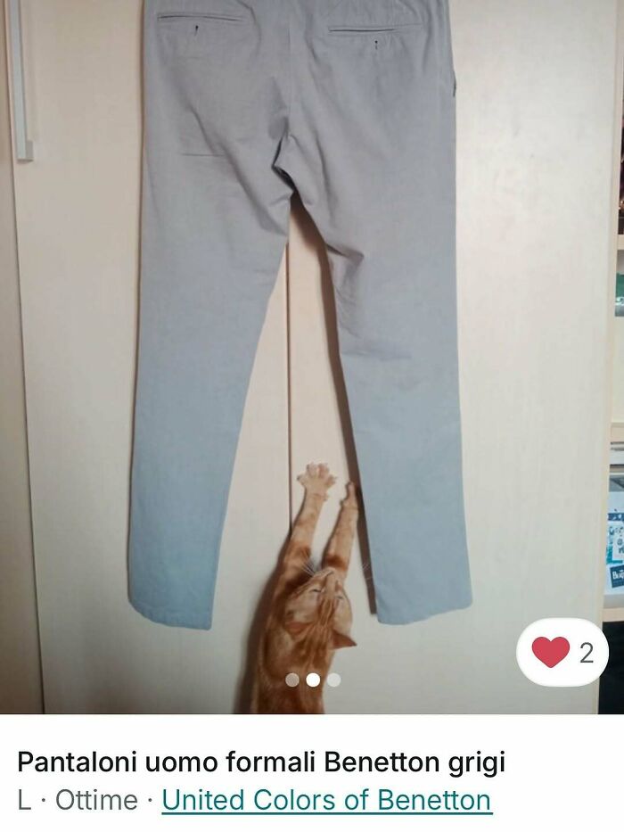 Orange cat reaching up to hang on the leg of gray formal pants in a playful Vinted ads moment.