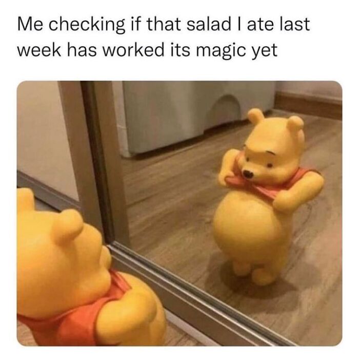 Winnie the Pooh checking his belly in the mirror with a humorous caption about random memes and funny moments.