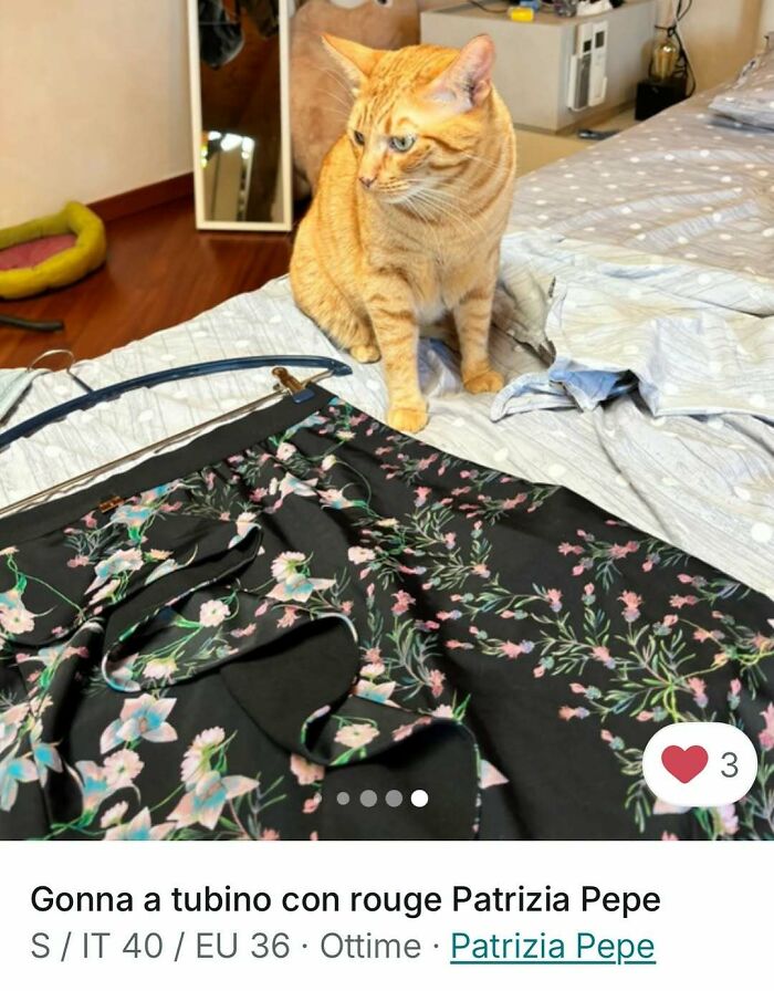 Orange cat sitting on a bed next to floral skirt, highlighting cats stealing the spotlight in Vinted ads.