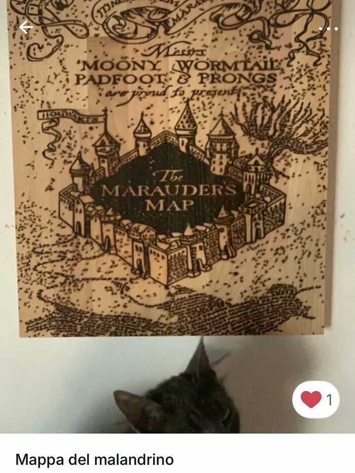 Cat resting beneath a Marauder's Map poster, illustrating cats stealing the spotlight in Vinted ads.