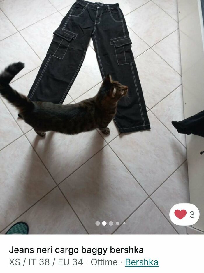 Tabby cat walking near black cargo jeans on tiled floor, showcasing cats stealing the spotlight in Vinted ads.