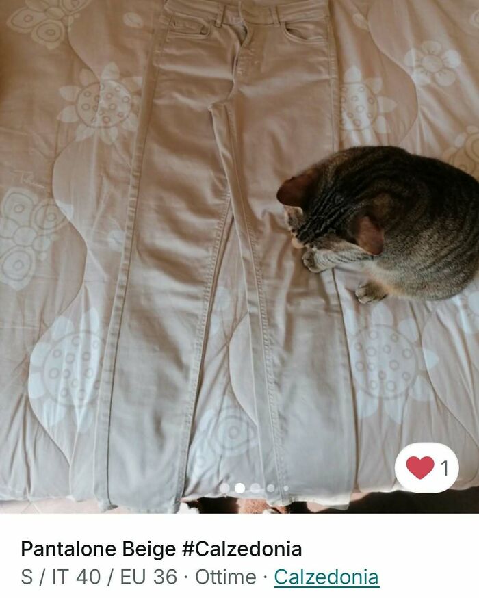 Cat sitting next to beige pants on a bed, showcasing cats stealing the spotlight in Vinted ads.