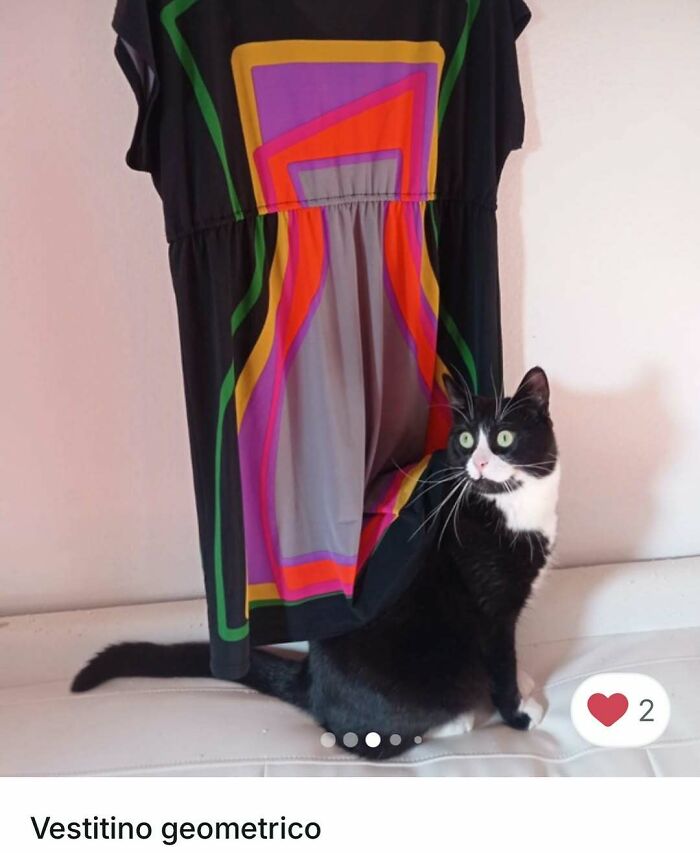 Black and white cat sitting on a couch next to a colorful geometric dress, cats stole the spotlight in Vinted ads.