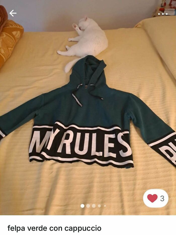 White cat lying on a bed next to a green hoodie with bold letters, cats stole the spotlight in Vinted ads.
