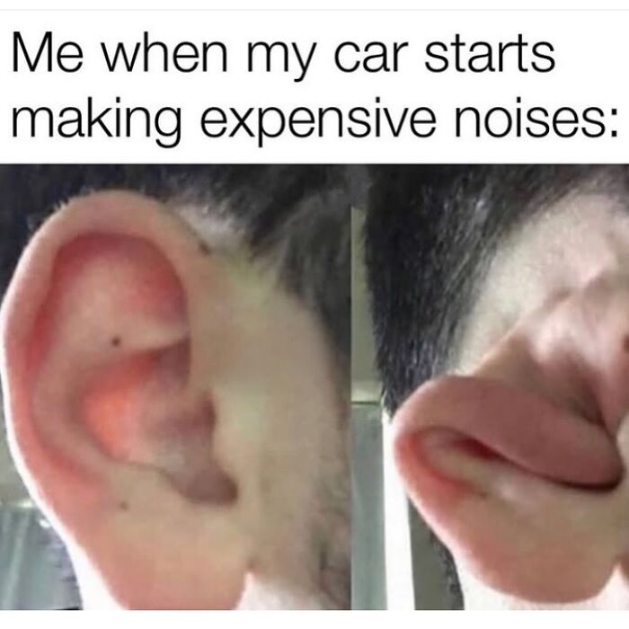 Close-up of a person covering their ear humorously, illustrating reaction in a random memes collection.
