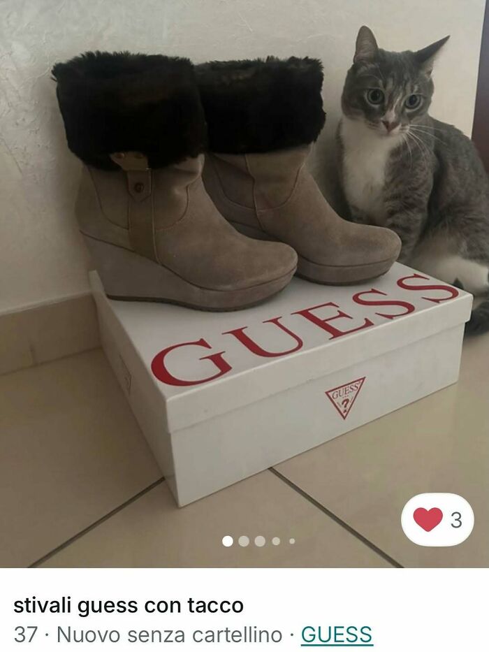 Grey and white cat next to fur-lined wedge boots on a Guess shoebox in a 100 times cats stole the spotlight Vinted ads scene.