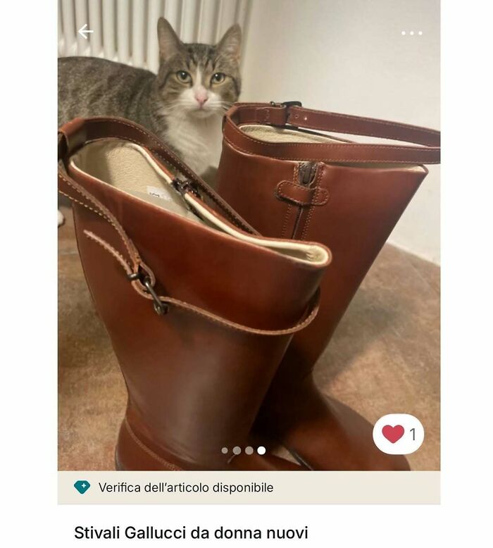 Tabby cat posing behind brown leather boots, highlighting adorable moments cats stole the spotlight in Vinted ads.