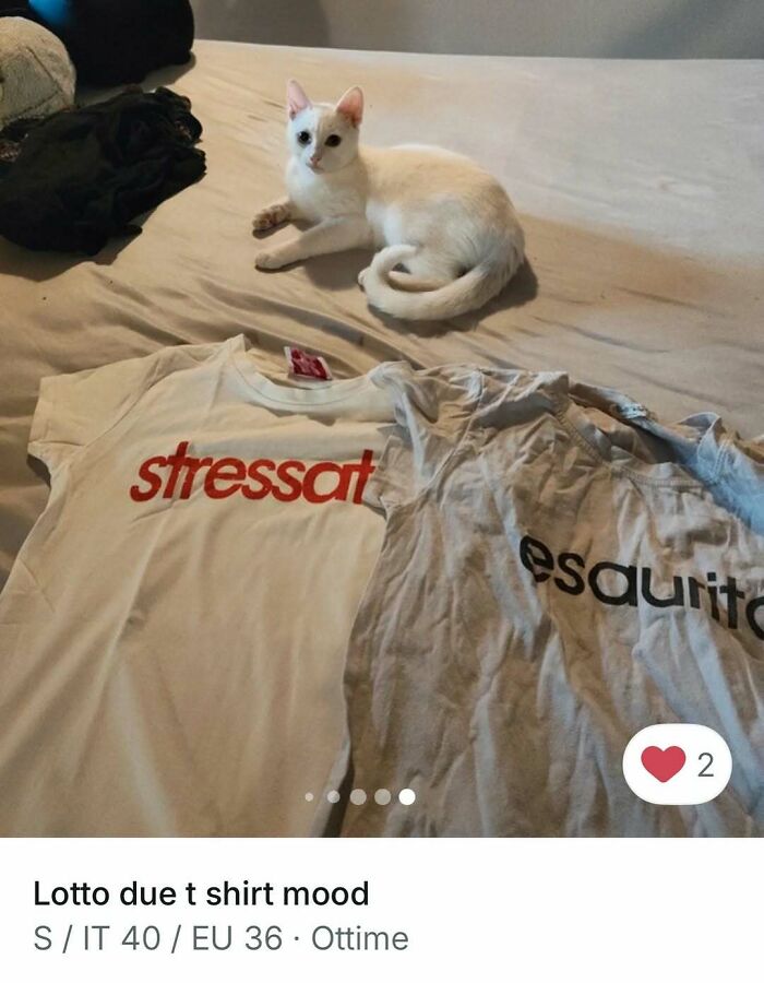 White cat lying on a bed next to two T-shirts, highlighting cats stealing the spotlight in Vinted ads.