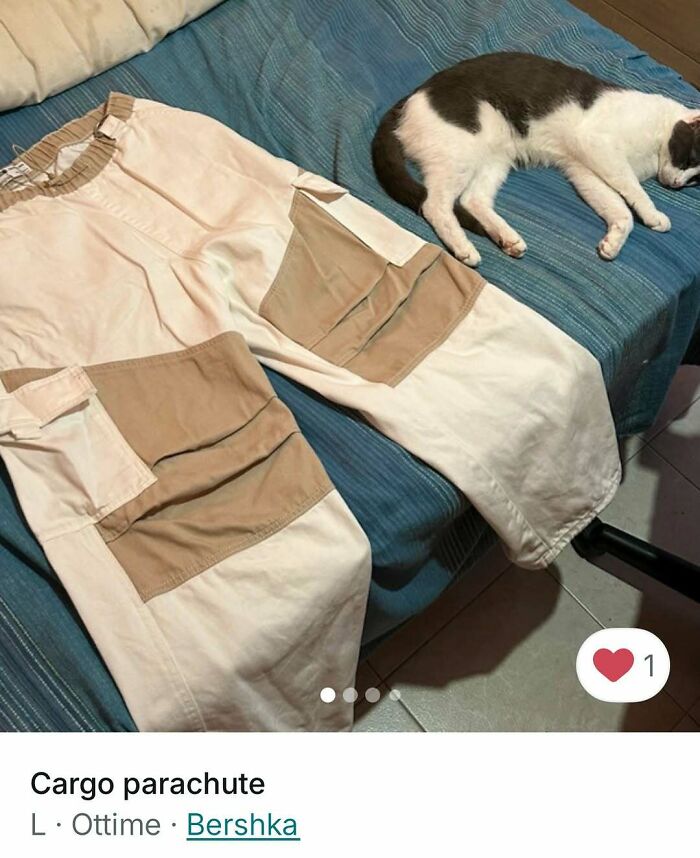 Cat lying next to beige cargo pants on a blue bed, highlighting cats stealing the spotlight in Vinted ads.