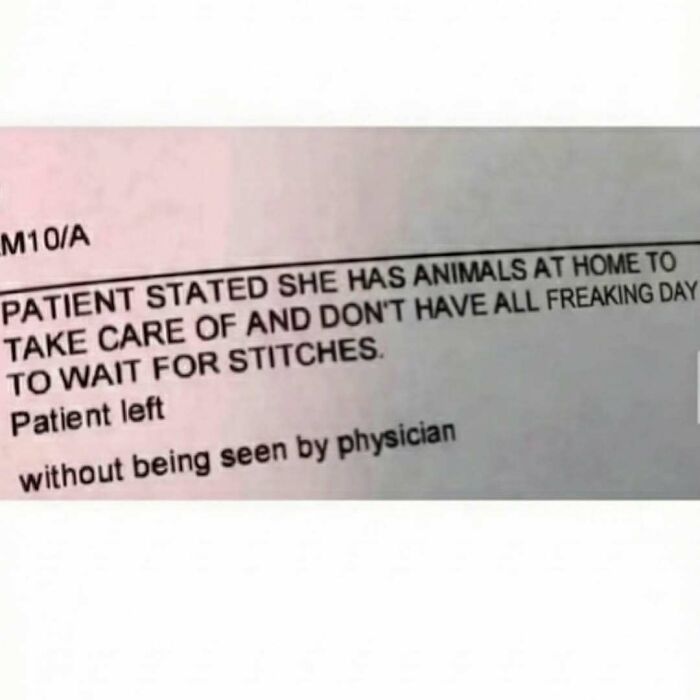 Medical note showing a patient left without being seen, citing animals at home and avoiding waiting as a funny meme distraction.