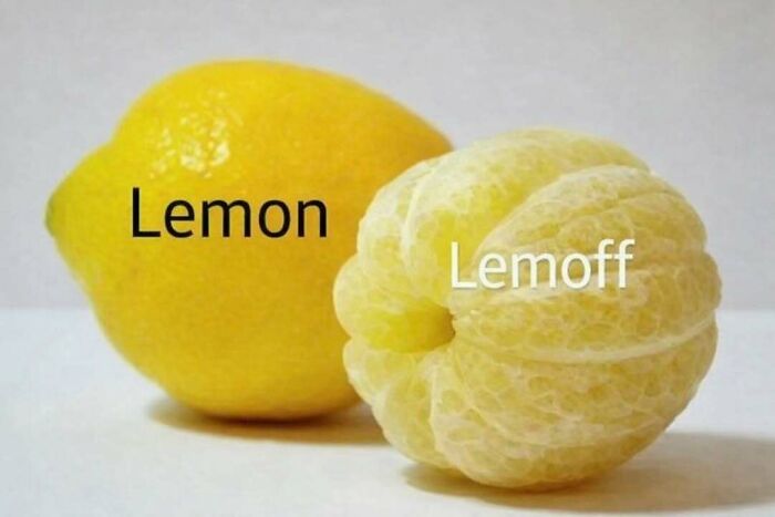 Two citrus fruits labeled lemon and lemoff, illustrating a random and bizarre meme with a humorous twist.