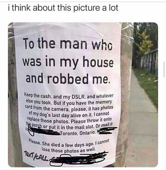 Handwritten note on a pole about a robbery, requesting the return of a camera memory card with irreplaceable photos, random memes.