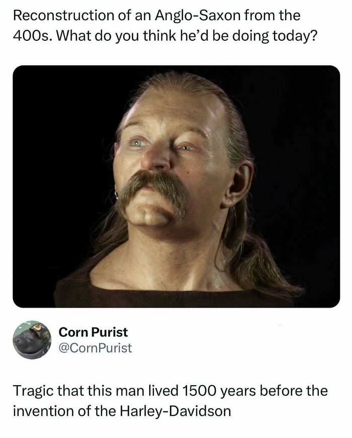 Reconstruction of an Anglo-Saxon from the 400s with a mustache, paired with a humorous meme to fight boredom.