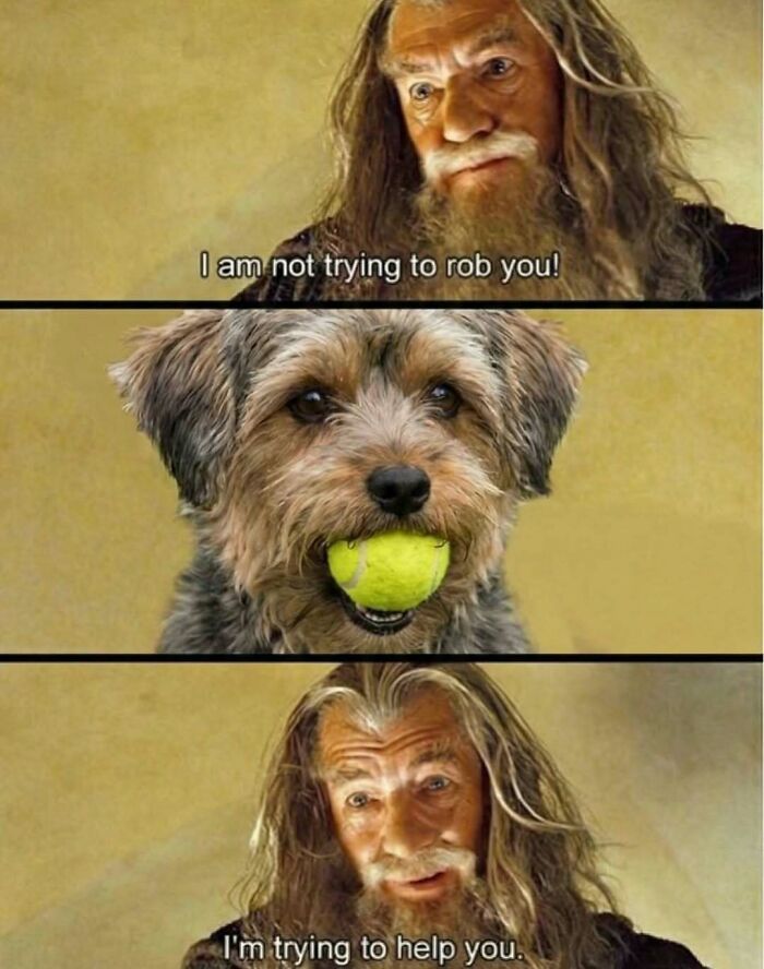 Funny memes with Gandalf and a dog holding a tennis ball, showing a humorous exchange about help and intentions.