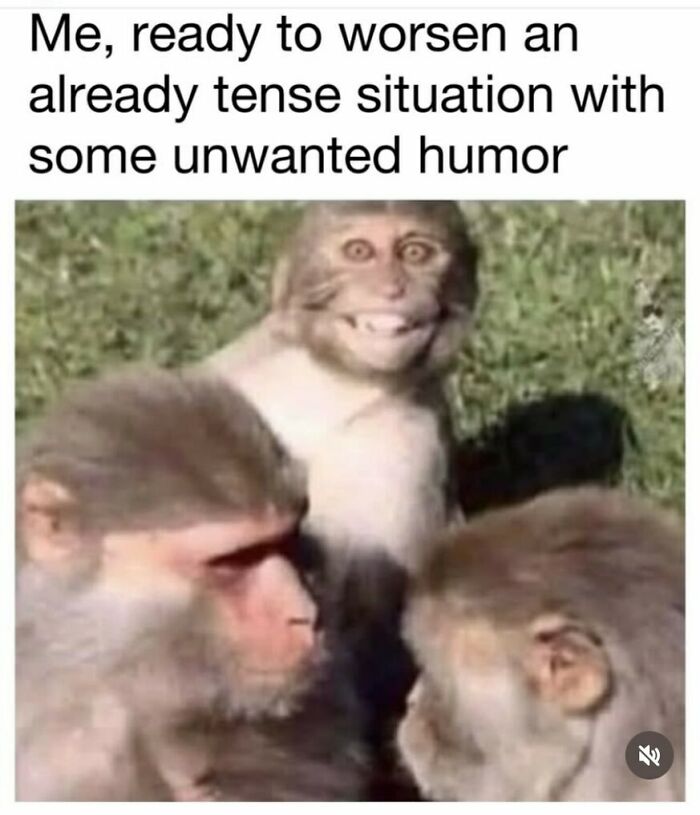 Monkey with a mischievous grin ready to add unwanted humor to a tense situation, highlighting the random memes humor theme.