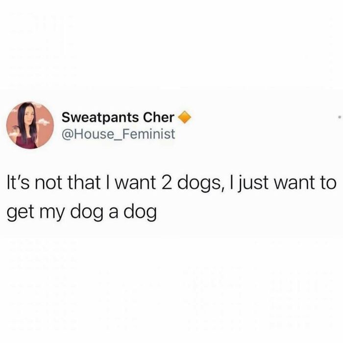 Funny meme about wanting to get a dog for a dog, a relatable distraction from responsibilities.