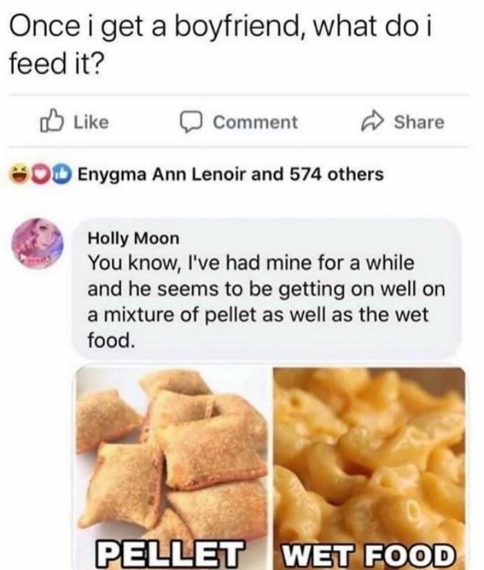 Funny meme about feeding a boyfriend comparing him to a pet eating pellet and wet food for distraction.