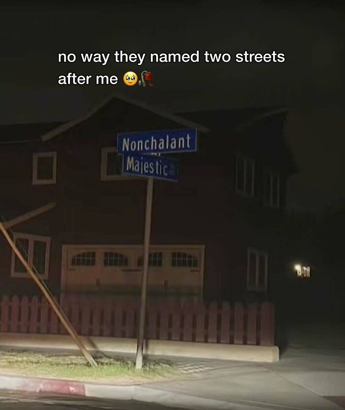 Street signs named Nonchalant and Majestic at night with meme text humor about streets named after someone bizarrely.