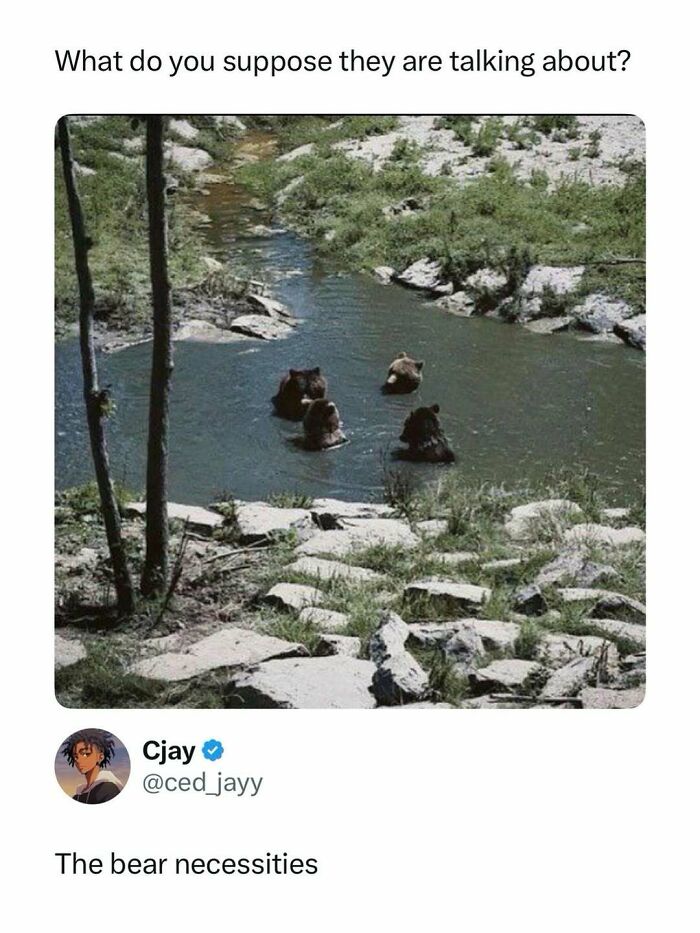 Four bears sitting in a river with a meme caption, part of entertaining posts and memes to fight boredom.