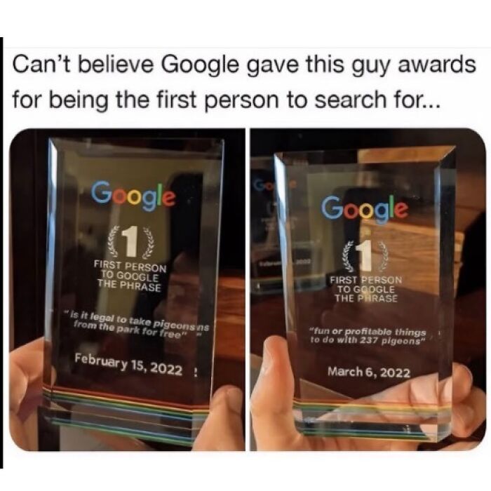 Google awards for first person to Google random phrases, shown on two clear acrylic trophies held in hands.