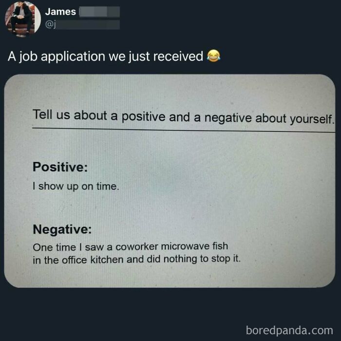 Job application meme showing a funny positive and negative self-description, part of works memes collection.
