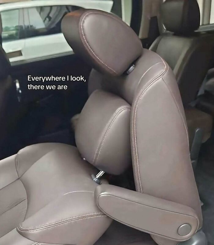 Car seat with two headrests close together creating a strange visual, a random and bizarre meme that raises questions.