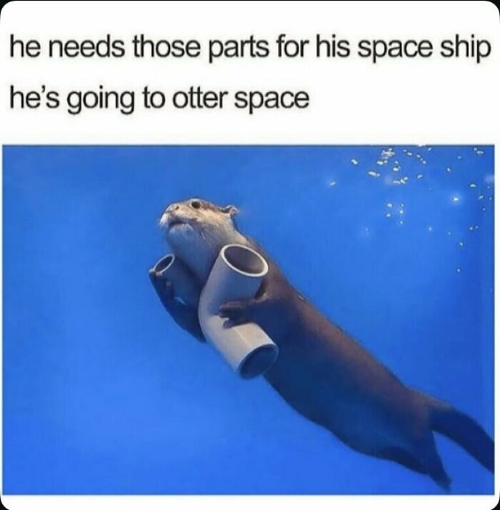 Otter swimming underwater holding pipes with a humorous caption about building a spaceship in random memes.