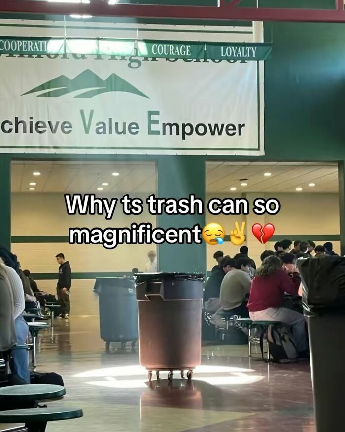 Trash can highlighted by sunlight in a school cafeteria with humorous caption, showcasing funny screenshots people took.