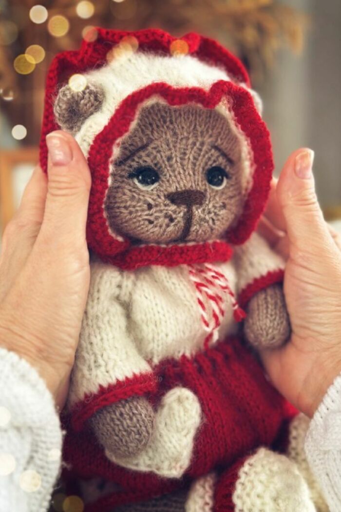 I Created A Knitting Pattern For Teddy Bear Clothes (5 Pics)