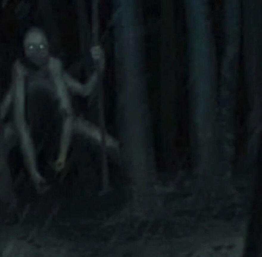 I Couldn`t Take A Photo But I Had Binoculars And A Sketchpad And Pencil In My Backpack, So I Drew It To Have Proof Here Is The Story: