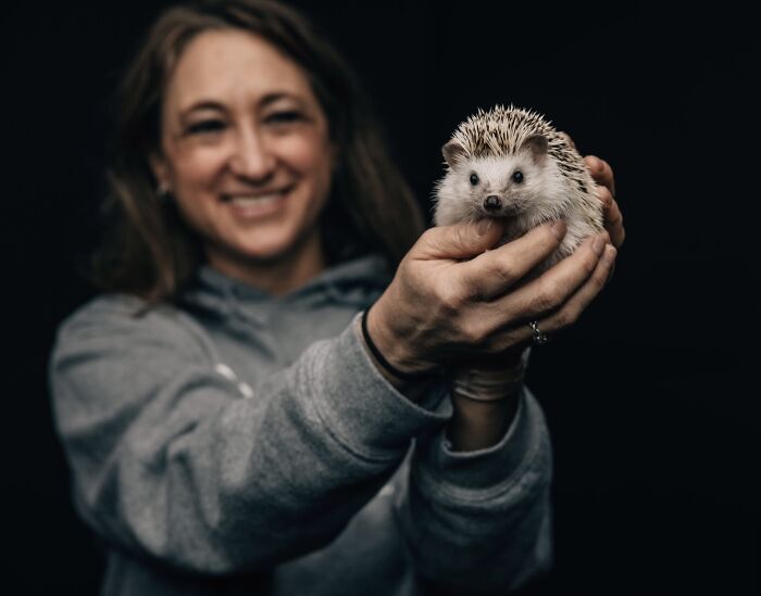 People Meeting Hedgehogs