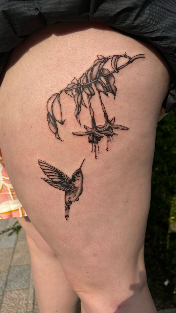 Black and gray tattoo of a hummingbird hovering near fuchsia flowers on upper thigh with cool tattoo details.