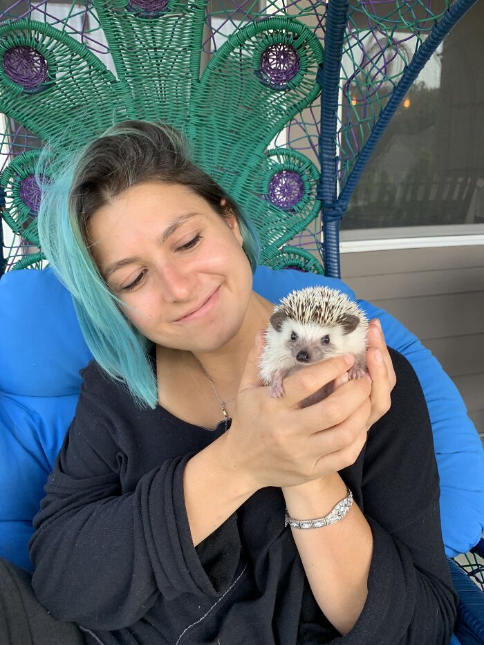 People Meeting Hedgehogs