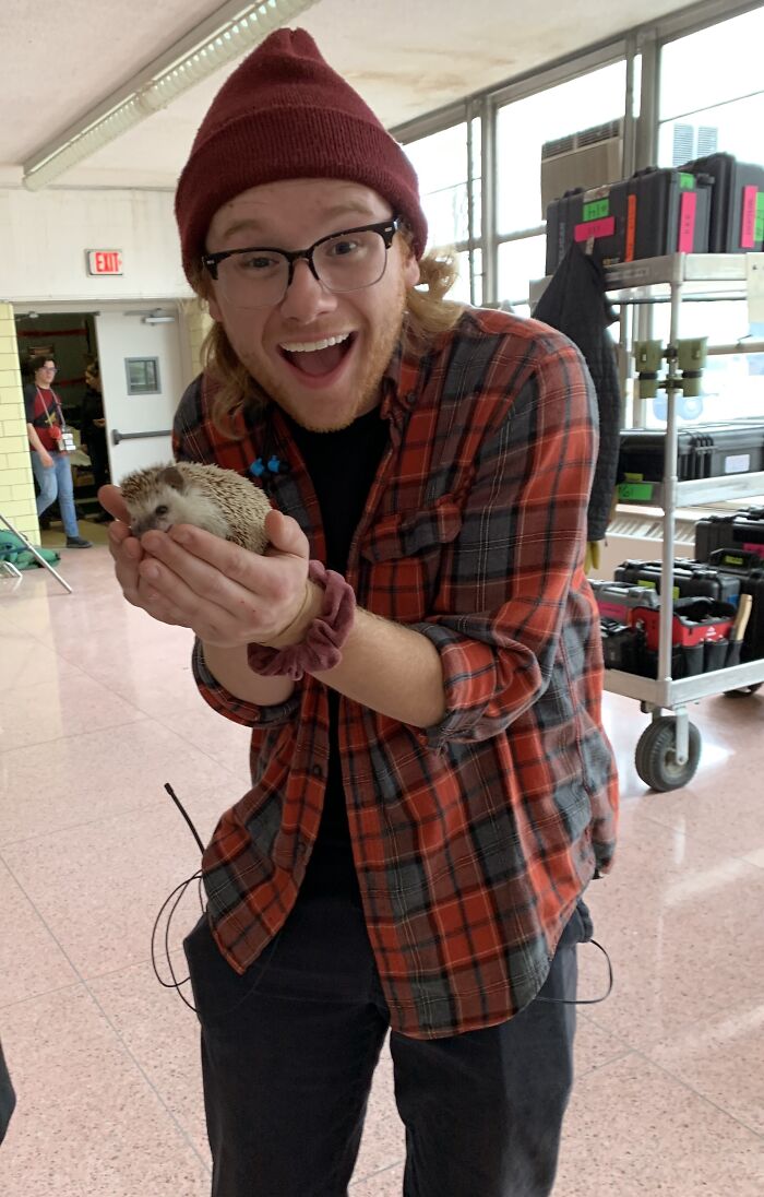 People Meeting Hedgehogs
