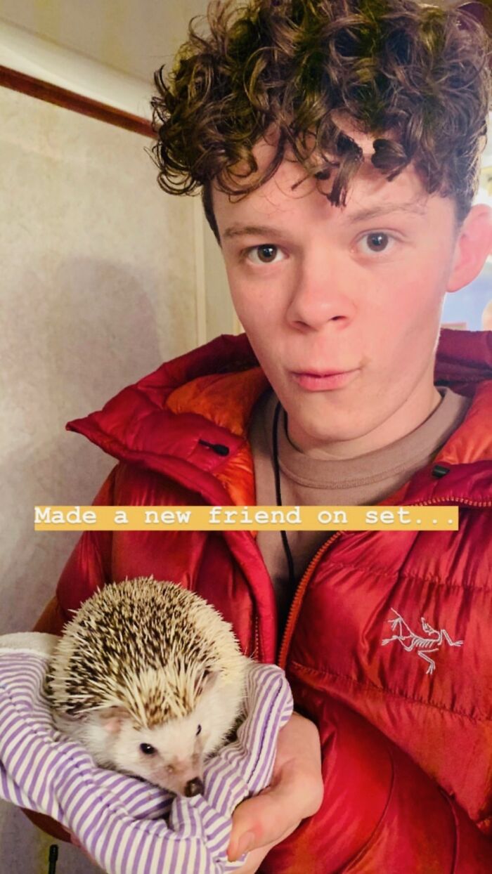 People Meeting Hedgehogs
