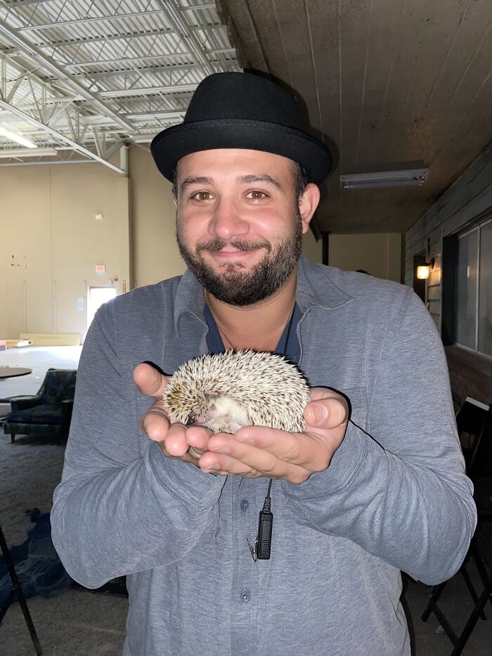 People Meeting Hedgehogs