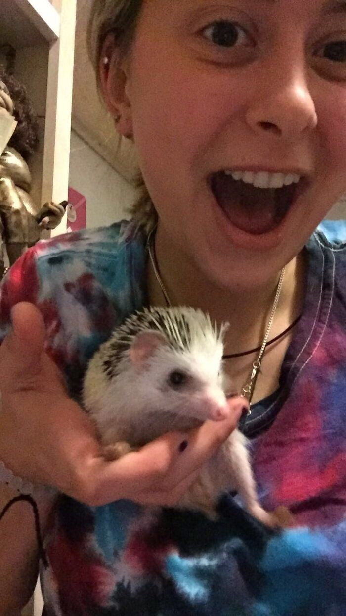 People Meeting Hedgehogs