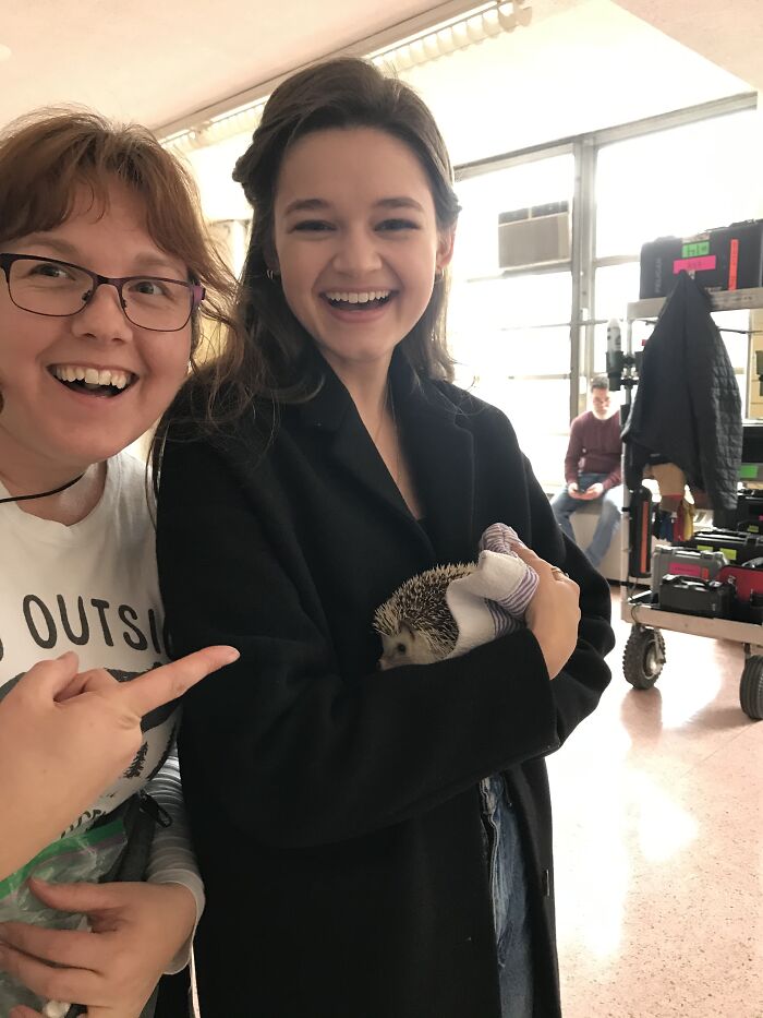 People Meeting Hedgehogs