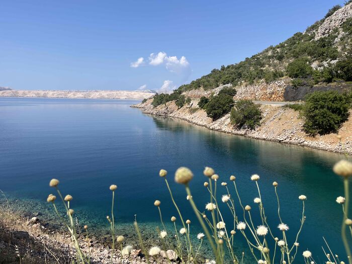 A Family Road Trip, Two Old Harleys, And 8,500 KM Of Hope For A 15-Year-Old With Cancer A Family Road Trip, Two Old Harleys, And 8,500 KM Of Hope For A 15-Year-Old With Cancer