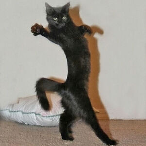 gamesaccount_1 avatar