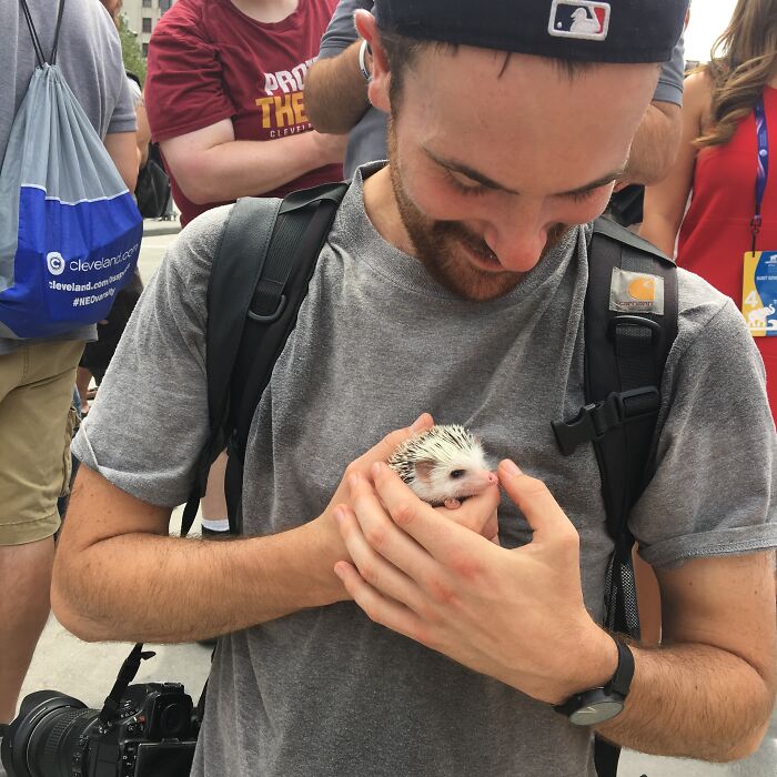 People Meeting Hedgehogs