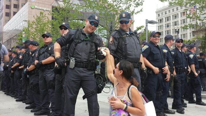 People Meeting Hedgehogs