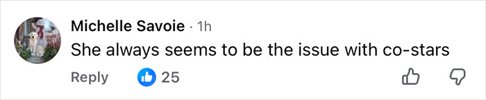 Comment by Michelle Savoie discussing issues with co-stars in relation to Chris Noth and Sarah Jessica Parker falling out.